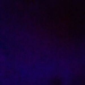 Meet your Posher, Kenzie